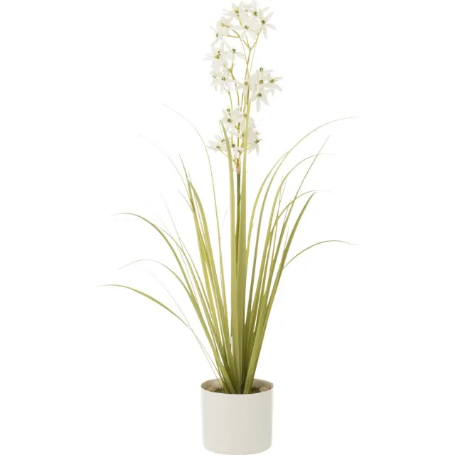 J-Line plant Allium in pot - kunststof - groen/wit - small