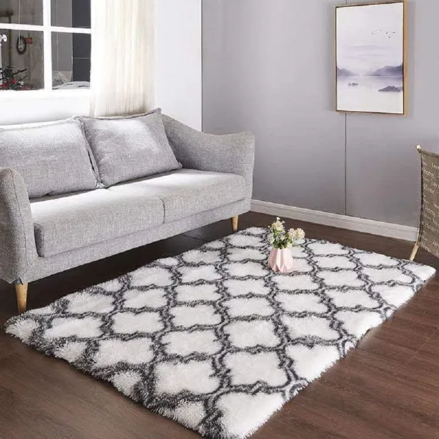 Riokem ® Tapijt Woonkamer, Modern Tapijt, Fluffy Slaapkamer Tapijten, Wasbaar Tapijt Hoogpolig, Antislip Onderkant Tapijten (Wit, 160 x 200 cm)