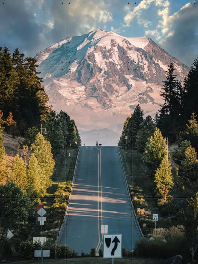IXXI Mt.Rainier, Tristan Zhou - 60 x 80 cm - Grote wanddecoratie en posters - Fotografie, Kleurrijk, Slaapkamer, Woonkamer, Mancave, Bomen Blauw