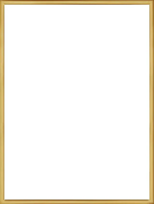 Homedecoration Almelo – Fotolijst – Fotomaat – 23 x 53 cm – Vintage Goud