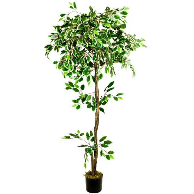 Decovego Kunstmatige Valse Ficus Benjamin Plant 160cm Echt Hout DECOVEGO Groen