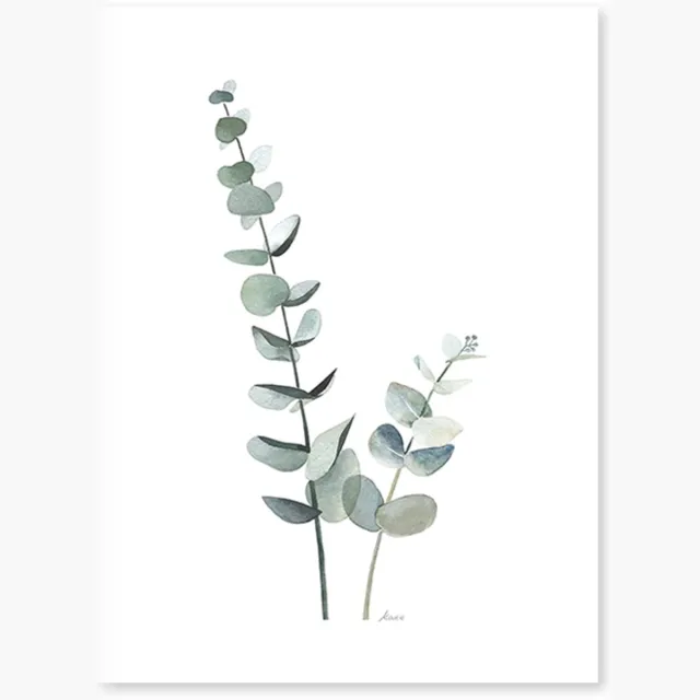 Lilipinso Greenery Poster - Eucalyptus (30x40cm) (op=op)
