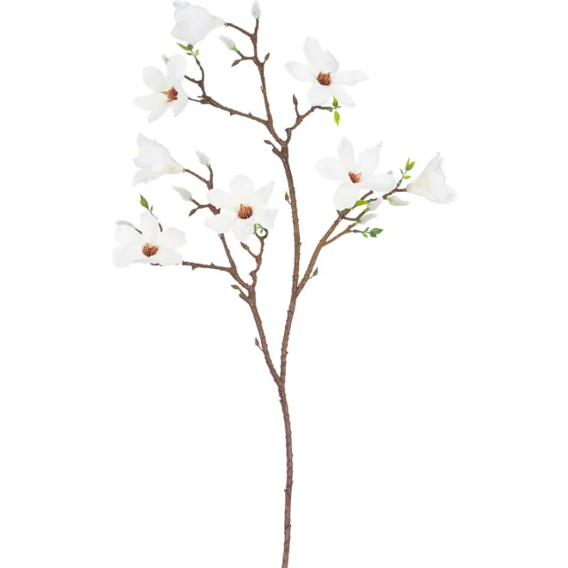 Easyplants Kunsttak Magnolia kleinbloemig 89 cm wit | Zijde | Nepbloemen | wit | Onderhoudsvrij | Kant-en-klaar