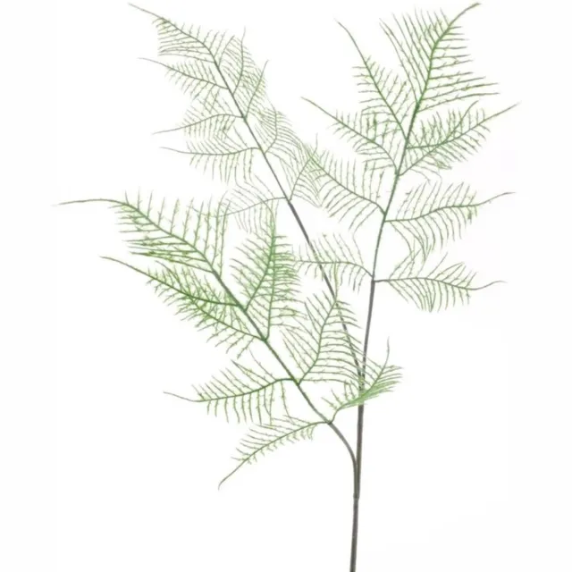 Bellatio Design Kunstbloem Asparagus/sierasperge - 80 cm - groen - losse tak - kunst zijdebloem/kunstplant