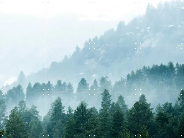 IXXI Foggy Evergreen Forest In The Mountains 8000 Px, Claire Droppert - 80 x 60 cm - Grote wanddecoratie en posters - Realisme, Fotografie Blauw / Grijs