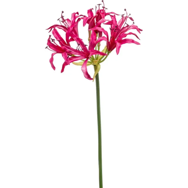 Natuurlijk Bloemen Kunstbloemen - Zijde Bloemen - Nep bloemen Luxe Bloemen - Nerine 75 cm - Natuurlijk Bloemen Roze Nerine