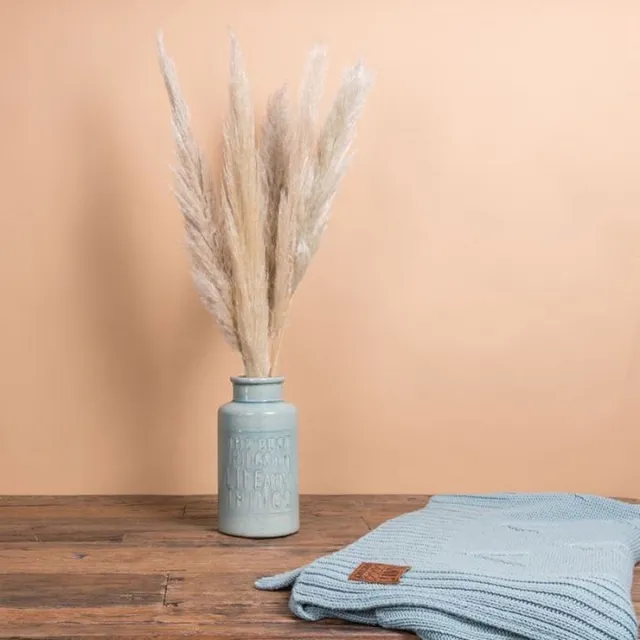BloomKado Droogbloemen | Pampas Pluimen | 60cm | 5 Stelen | Naturel