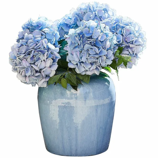 Loberon Vaas Uxemir blauw