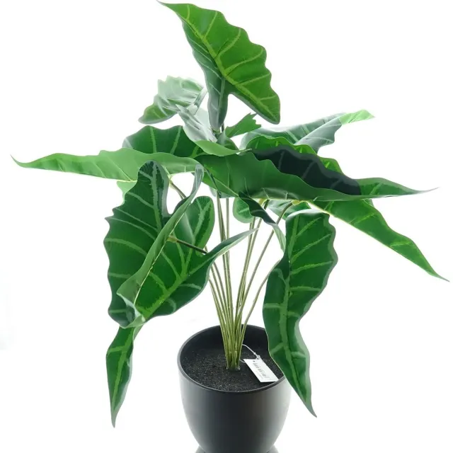 DPI GmbH DPI Alocasia Pijlpunt Kunstplant 47 cm Groen