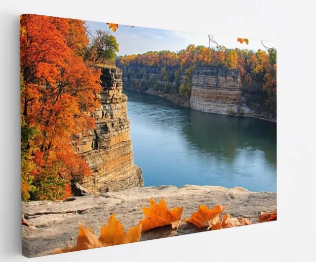 Saammp Canvas Schilderij - Rode Bladeren op Rots - Natuur - Landschap - 50x40 - Foto op canvas - Wanddecoratie - Muurdecoratie Woonkamer - Slaapkamer decoratie - Canvas Print Multicolor