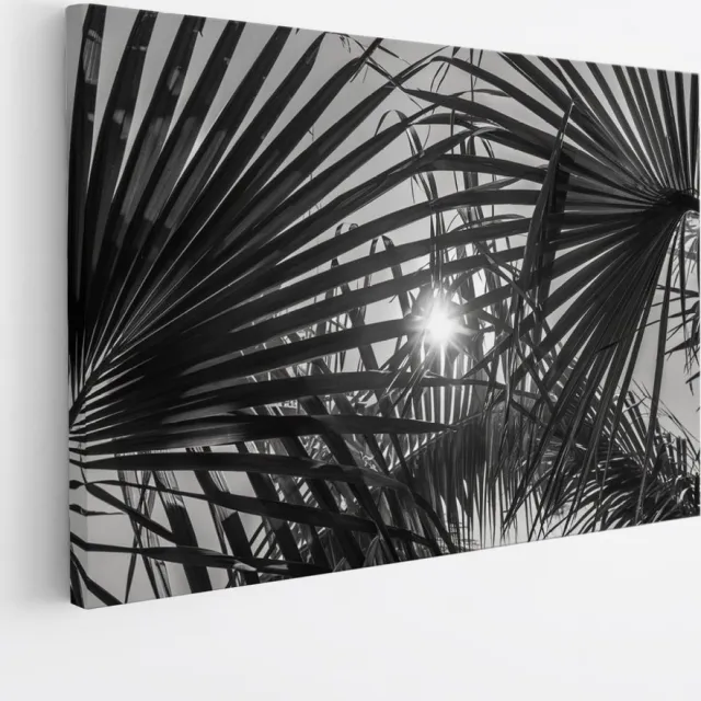 Saammp Canvas Schilderij - Zon tussen de planten - Zwart-Wit - Landschap - Natuur - 150x100 - Foto op canvas - Wanddecoratie - Muurdecoratie Woonkamer - Slaapkamer decoratie - Canvas Print Multicolor