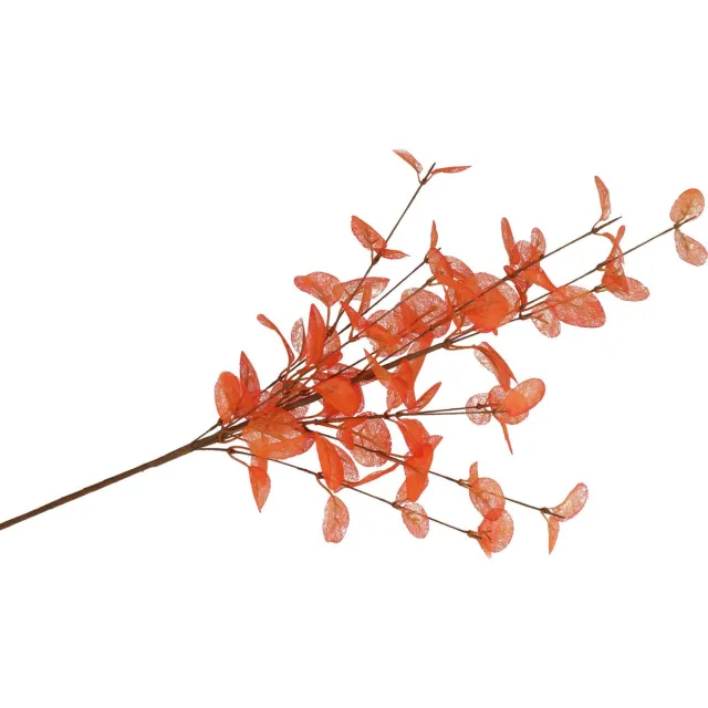 DK design Kunstbloem Eucalyptus tak Silk - 72 cm - oranje - losse steel - Kunst zijdebloemen Licht oranje