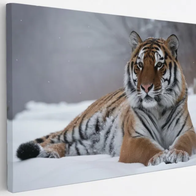 Saammp Canvas Schilderij - Tijger in de sneeuw - Natuur - Dieren - 30x20 - Foto op canvas - Wanddecoratie - muurdecoratie Woonkamer - Slaapkamer decoratie - Canvas Print Multicolor
