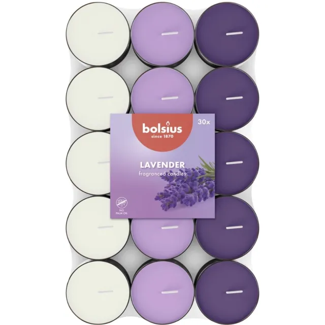 Bolsius Geurtheelicht - 30 stuks per verpakking - Lavender Paars