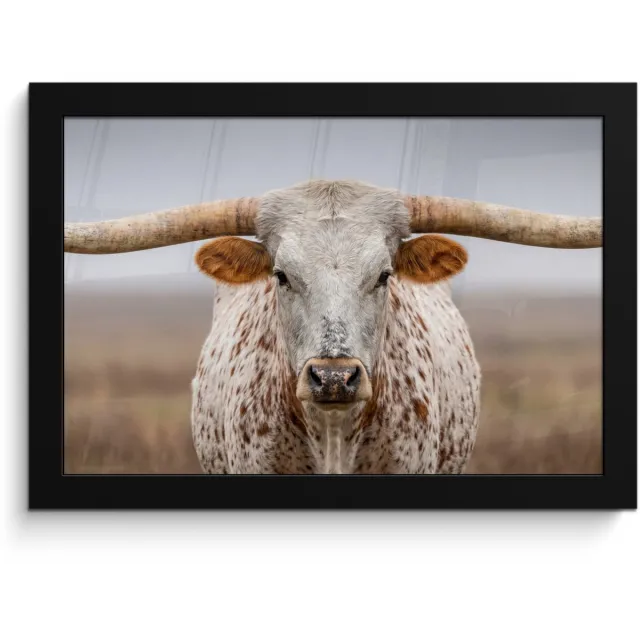 FrameYourWall Poster in lijst - Fotolijst 30x20 cm - Posters - Longhorn - Grasveld - Dier - Posterlijst zwart - Decoratie - Wanddecoratie woonkamer - Muurdecoratie slaapkamer