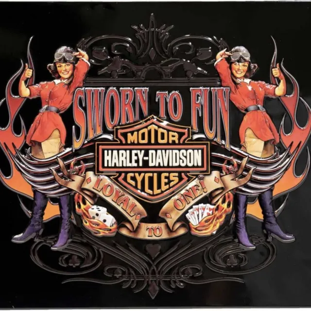 Harley-Davidson Sworn To Fun Babes Metalen Bord - 38 x 33cm Multi Colour