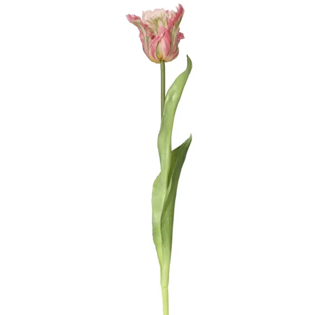Kaemingk Everlands Papegaaitulp Roze & Groen Ø 6 cm 51 cm - Kunstbloemen