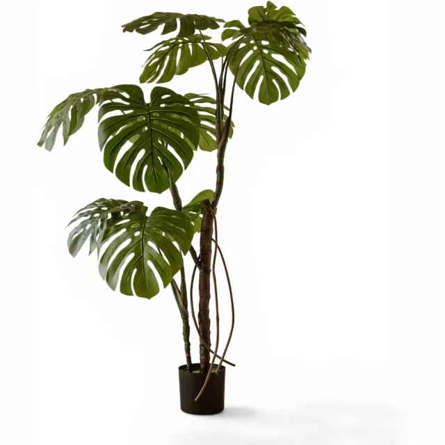 Indore Home Indore Silva Monstera Kunstplant 160 cm – Gatenplant – Grote Kamerplant – Onderhoudsvrij Groen