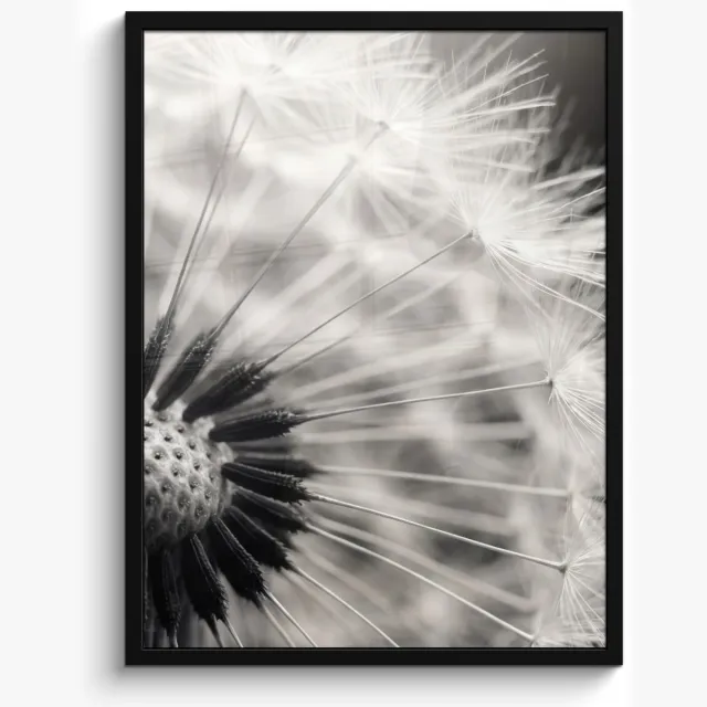 FrameYourWall Poster in lijst - Fotolijst 60x80 cm - Posters - Paardenbloem - Zwart - Wit - Posterlijst zwart - Decoratie - Wanddecoratie woonkamer - Muurdecoratie slaapkamer