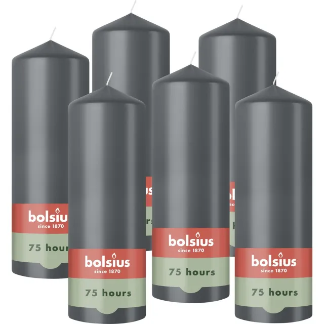 Bolsius Gladde Stompkaarsen - 6 Stuks - Antraciet - 20cm - 75 Branduren