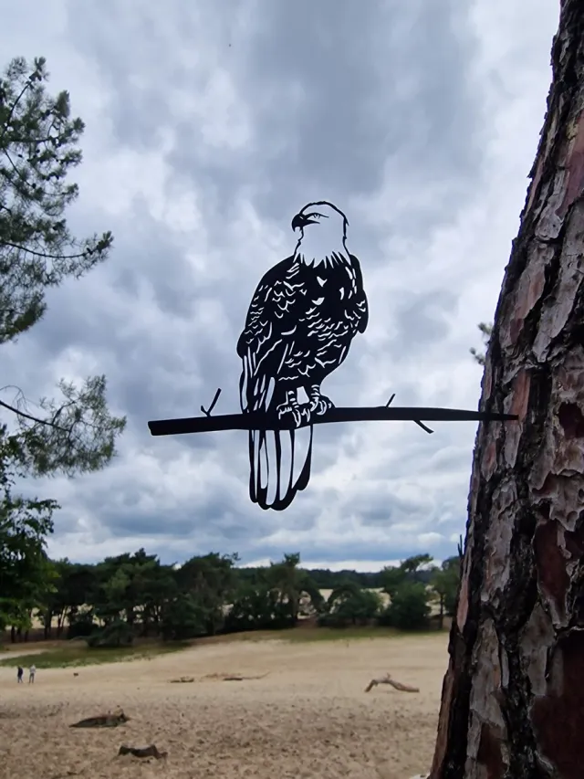Wondersathome Metalen Boom Prikker - Boom Steker - Kleine Adelaar - Little Eagle - Metalen Vogel - Tuin Vogel - Tuin Hanger - Tuindecoratie - Metal Bird - Garden Ornament Zwart Adelaartje