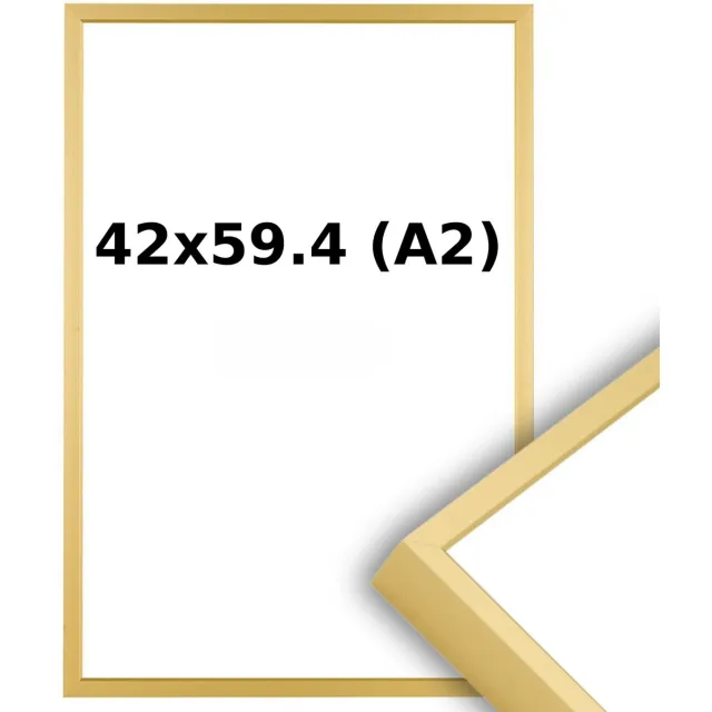 Lichtendonk Aluminium Wissellijst A2 42 x 59.4 - Mat Champagne Goud - Helder Glas - Professional