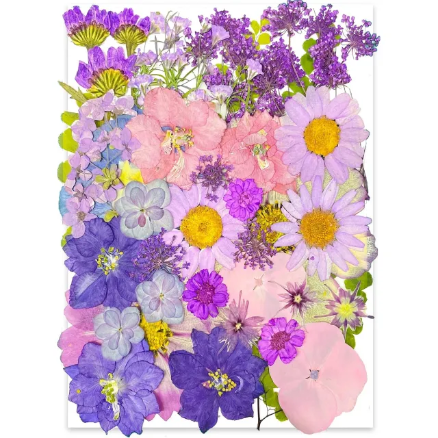 Famanu Paarse Gedroogde Geperste Bloemen voor Resin, 40 Stuks