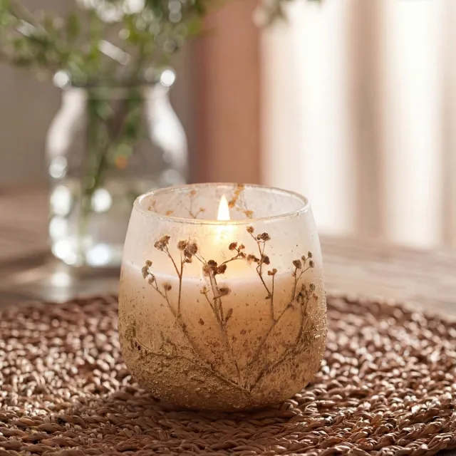 Ancient Wisdom Medium Glass Jar Candles - Wildlight Woods multicolor