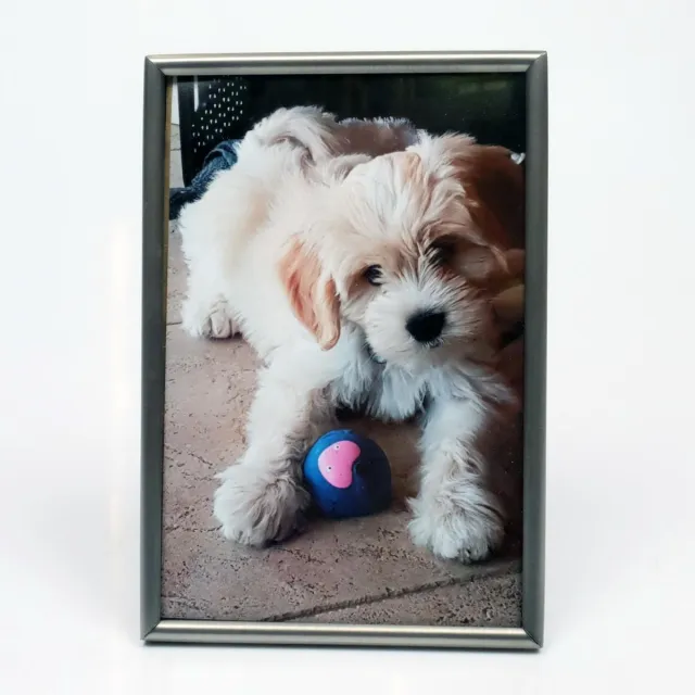 Alle lijsten AL - Mat Zilver - Fotolijst - Bol - 10 x 15 cm