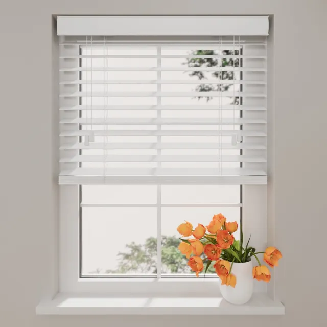 DTCH Kunststof Jaloezie Easy - 50 mm - White - 150 x 240