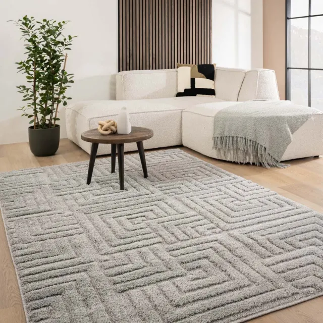Tapeso Scandinavisch vloerkleed - Arc Shade lichtgrijs 120x170