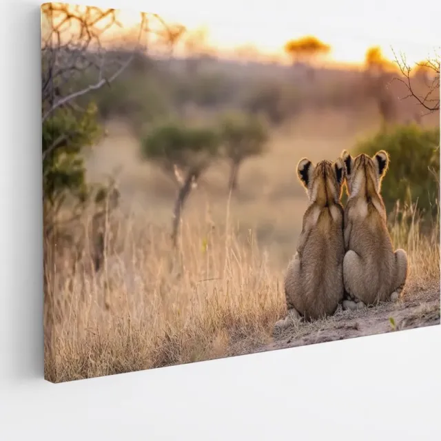 Saammp Canvas Schilderij - Leeuwenwelpen zitten tegen elkaar aan - Dieren - Natuur - 120x80 - Foto op canvas - Wanddecoratie - Muurdecoratie Woonkamer - Slaapkamer decoratie - Canvas Print Multicolor