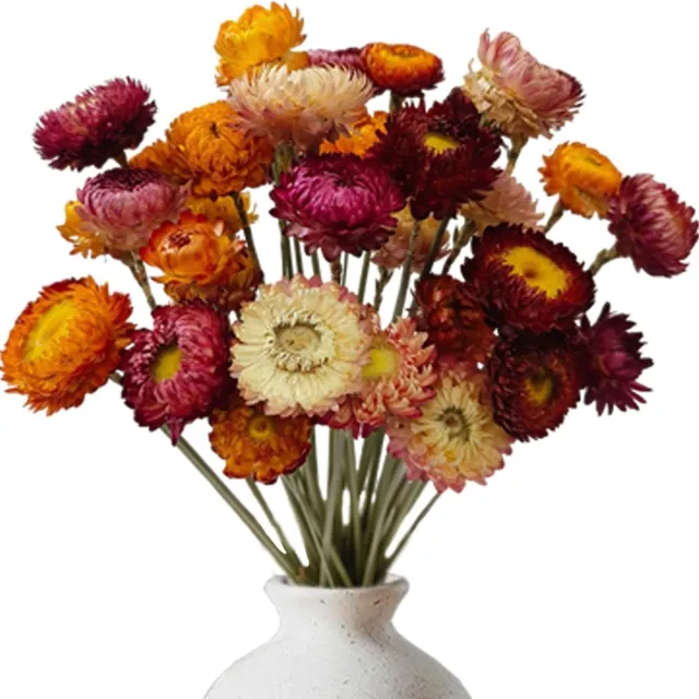 Famanu Natuurlijke gedroogde bloemen set voor decoratie en kunstprojecten 10 stuks
