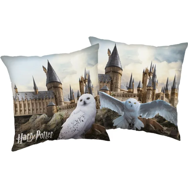 Harry Potter Sierkussen Hedwig - 40 x 40 cm - Polyester Multi