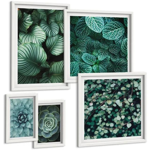 TULUP 4-Delige Schilderij Set - Plantmotieven met bladeren en vetplanten in een natuurlijke stijl - 50 x 50 cm, 20 x 30 cm en 40 x 60 cm - Wanddecoratie - Schilderijen Set - Interieur Witte lijst