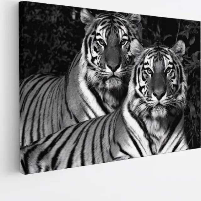 Saammp Canvas Schilderij - 2 Tijgers - Natuur - Dieren - 40x30 - Foto op canvas - Wanddecoratie - muurdecoratie Woonkamer - Slaapkamer decoratie - Canvas Print Multicolor