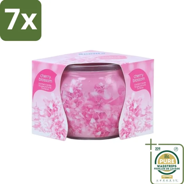 At Home 7 x At Home - Scents - Geurkaars - Cherry Blossom - 70 g - Grootverpakking - Geurkaars - Kersenbloesem - Thuisgeur - Rustgevende Geur - Ontspanning Roze