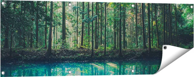 Gards Tuinposter Bos bij een Groen Meer - 120x40 cm - Tuindoek - Tuindecoratie - Wanddecoratie buiten - Tuinschilderij Multikleur