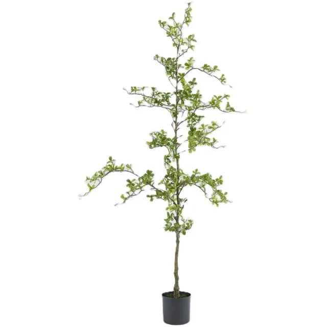 EDG - Enzo De Gasperi EDG - Kunstplant - groen - D25 x H195 cm