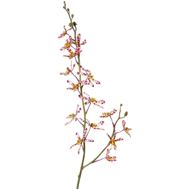 Driesprong Collection Cattleya orchidee 82 cm kunstbloem zijde nepbloem I Driesprong Coll... onbekend