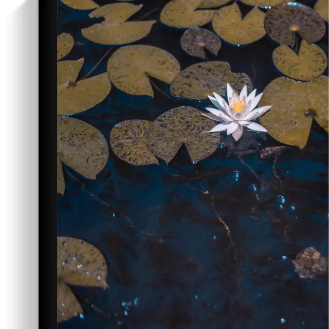 KuijsFotoprint Canvas - Waterlelies - 30x40cm Foto op Canvas Schilderij (Wanddecoratie op Canvas) Blauw
