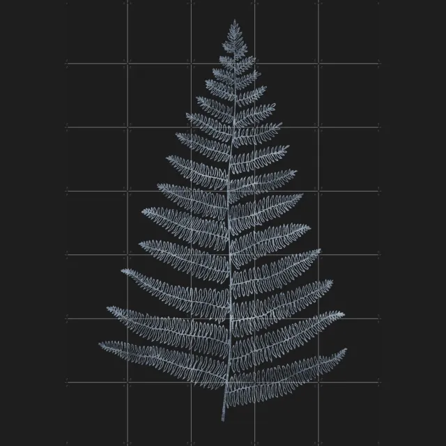 IXXI Botanica Minimalistica, Kubistika - 100 x 140 cm - Grote wanddecoratie en posters - Minimalisme, Illustraties, Line art, Slaapkamer, Woonkamer Monochroom / Donkere tinten / Zwart