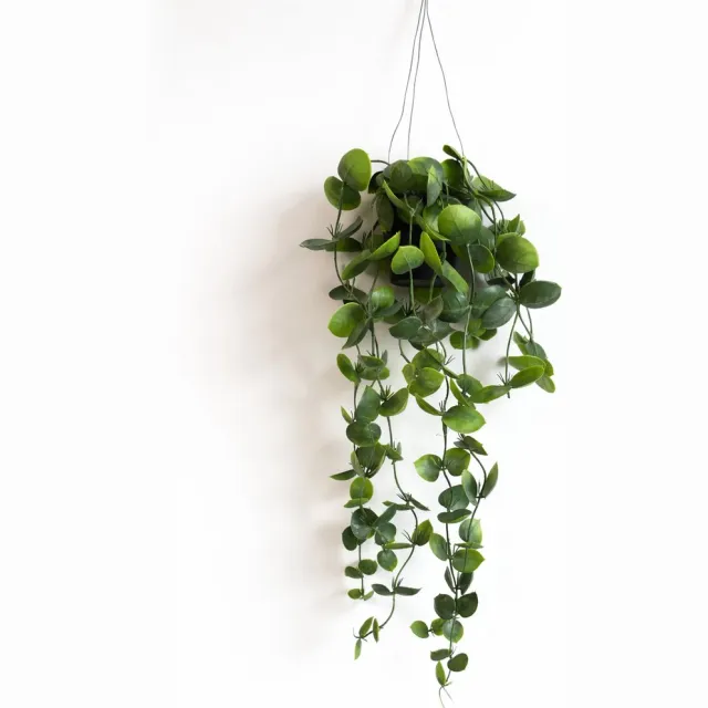 HEM Hangplant Kunstplant – Groene Hangende Plant – Decoratieve Nepplant met Pot – Onderhoudsvrije Kamerplant voor Woonkamer, Badkamer of Kantoor