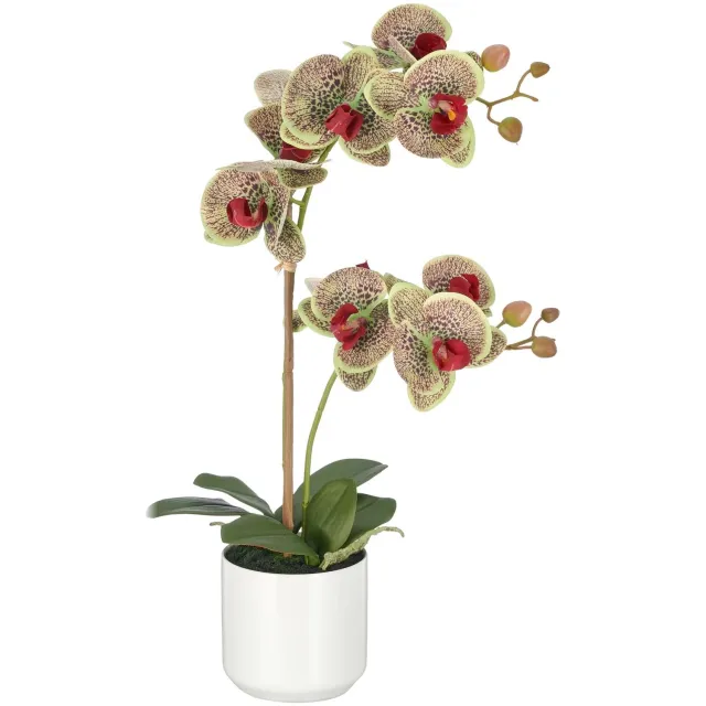 Kopu Kunstorchidee 58 cm - Groen-rood - Witte pot - Phalaenopsis