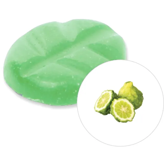 Scentchips Italiaanse Bergamot - Geurblokjes - Huisparfum - Geurchips - Waxmelts - Geschikt voor Geurbrander en Waxbrander - S - 8 Stuks Groen