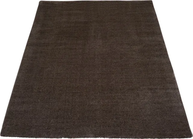 Veer Carpets Vloerkleed Rich Bruin - 240 x 340 cm