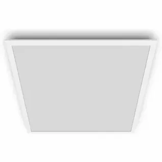 Philips Plafondlamp Touch 2 Wit 36w