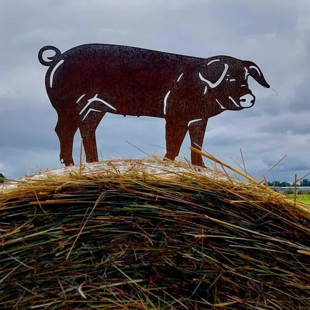 rusty friends Varken - Tuinbeeld - Cortenstaal - NL Fabricaat bruin