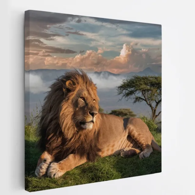 Saammp Canvas Schilderij - Leeuw bovenop een berg - Landschap - Dieren - Natuur - 20x20 - Foto op canvas - Wanddecoratie - Muurdecoratie Woonkamer - Slaapkamer decoratie - Canvas Print Multicolor