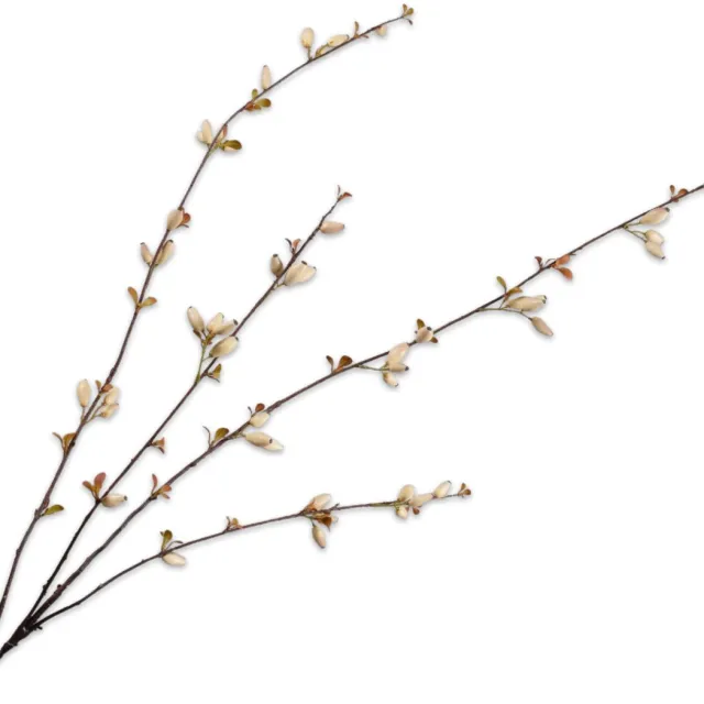 Silk-ka Kunsttak - rozenbottel - creme - H121 cm crème